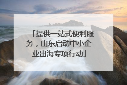 提供一站式便利服务，山东启动中小企业出海专项行动