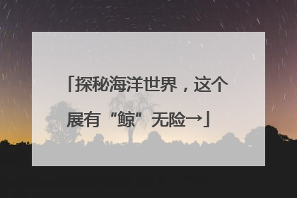 探秘海洋世界，这个展有“鲸”无险→