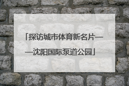 探访城市体育新名片——沈阳国际泵道公园