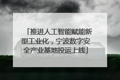 推进人工智能赋能新型工业化，宁波数字安全产业基地投运上线
