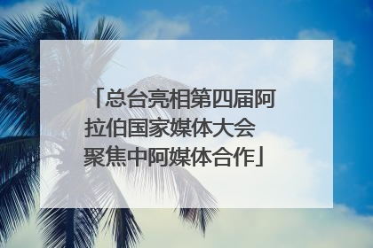 总台亮相第四届阿拉伯国家媒体大会 聚焦中阿媒体合作