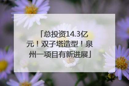总投资14.3亿元！双子塔造型！泉州一项目有新进展