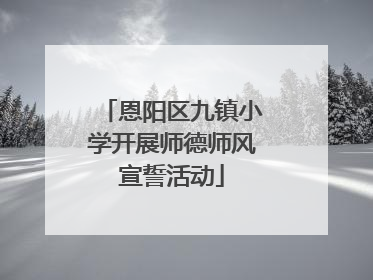 恩阳区九镇小学开展师德师风宣誓活动