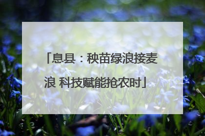 息县：秧苗绿浪接麦浪 科技赋能抢农时