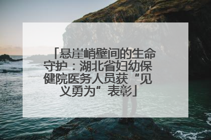 悬崖峭壁间的生命守护：湖北省妇幼保健院医务人员获“见义勇为”表彰