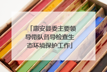 惠安县委主要领导带队督导检查生态环境保护工作