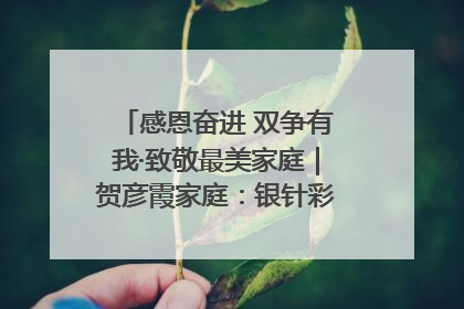 感恩奋进 双争有我·致敬最美家庭｜贺彦霞家庭：银针彩线绣出好日子