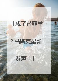 成了替罪羊？马斯克最新发声！