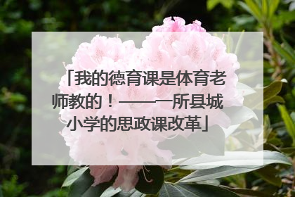 我的德育课是体育老师教的！——一所县城小学的思政课改革