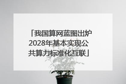 我国算网蓝图出炉 2028年基本实现公共算力标准化互联
