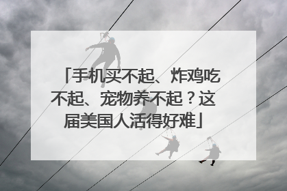 手机买不起、炸鸡吃不起、宠物养不起？这届美国人活得好难