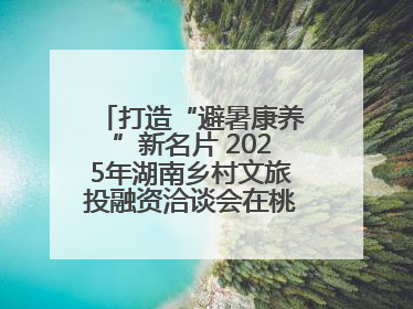 打造“避暑康养”新名片 2025年湖南乡村文旅投融资洽谈会在桃江举办