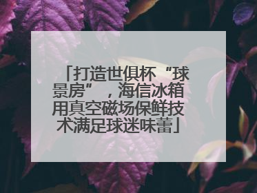 打造世俱杯“球景房”，海信冰箱用真空磁场保鲜技术满足球迷味蕾