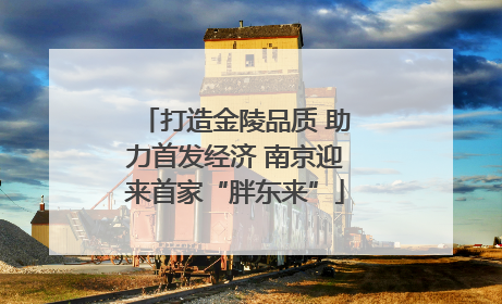 打造金陵品质 助力首发经济 南京迎来首家“胖东来”