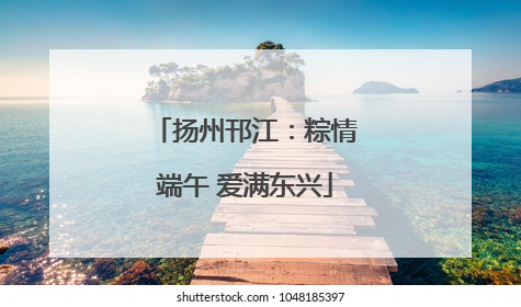 扬州邗江：粽情端午 爱满东兴