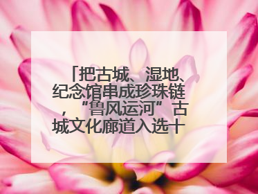 把古城、湿地、纪念馆串成珍珠链，“鲁风运河”古城文化廊道入选十大最美农村路