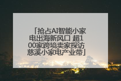 抢占AI智能小家电出海新风口 超100家跨境卖家探访慈溪小家电产业带