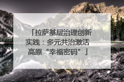 拉萨基层治理创新实践：多元共治激活高原“幸福密码”