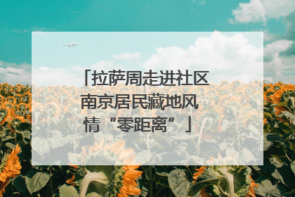 拉萨周走进社区 南京居民藏地风情“零距离”
