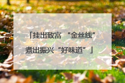 挂出致富 “金丝线” 煮出振兴“好味道”