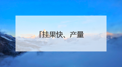 挂果快、产量高，陕西苹果在中亚茁壮成长