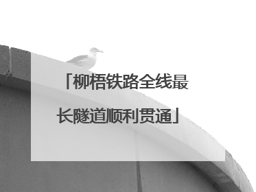 柳梧铁路全线最长隧道顺利贯通