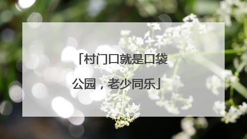 村门口就是口袋公园，老少同乐