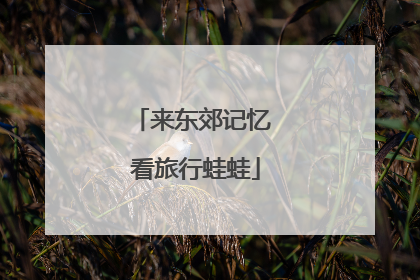 来东郊记忆 看旅行蛙蛙