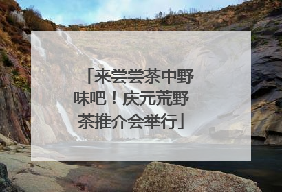 来尝尝茶中野味吧！庆元荒野茶推介会举行