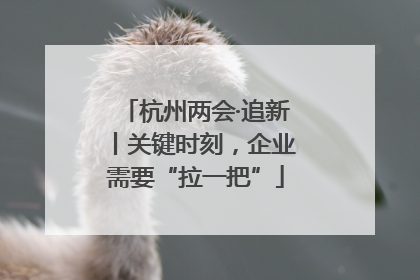 杭州两会·追新丨关键时刻，企业需要“拉一把”
