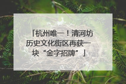 杭州唯一！清河坊历史文化街区再获一块“金字招牌”