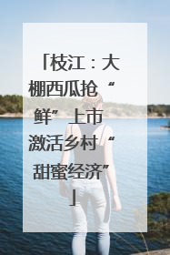 枝江：大棚西瓜抢“鲜”上市 激活乡村“甜蜜经济”