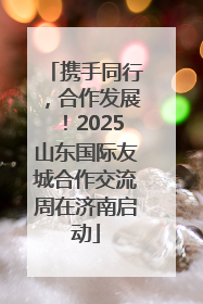 携手同行，合作发展！2025山东国际友城合作交流周在济南启动