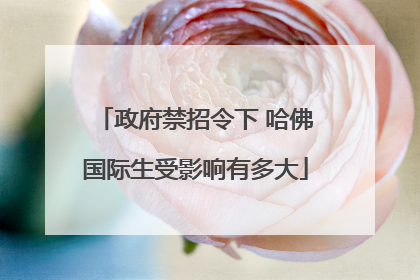 政府禁招令下 哈佛国际生受影响有多大