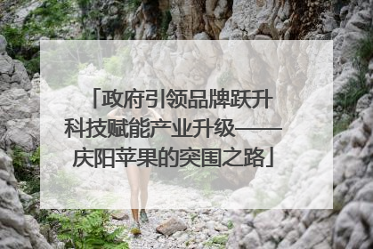政府引领品牌跃升 科技赋能产业升级——庆阳苹果的突围之路