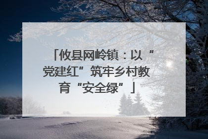 攸县网岭镇：以“党建红”筑牢乡村教育“安全绿”