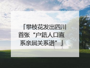 攀枝花发出四川首张“户籍人口直系亲属关系谱”
