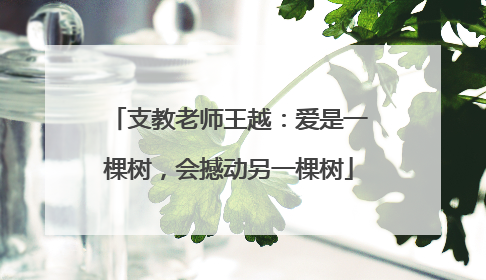 支教老师王越：爱是一棵树，会撼动另一棵树