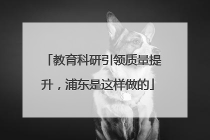 教育科研引领质量提升，浦东是这样做的