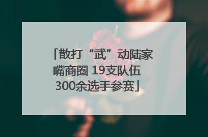散打“武”动陆家嘴商圈 19支队伍300余选手参赛