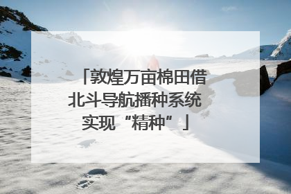 敦煌万亩棉田借北斗导航播种系统实现“精种”