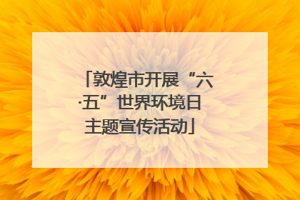 敦煌市开展“六·五”世界环境日主题宣传活动