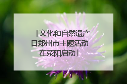 文化和自然遗产日郑州市主题活动在荥阳启动