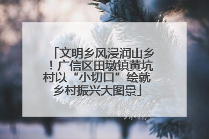 文明乡风浸润山乡！广信区田墩镇黄坑村以“小切口”绘就乡村振兴大图景