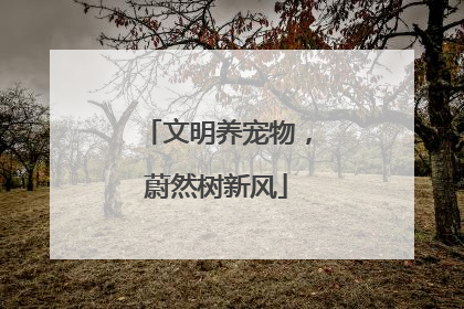 文明养宠物，蔚然树新风