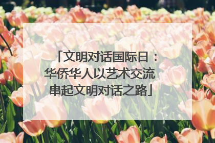 文明对话国际日：华侨华人以艺术交流串起文明对话之路