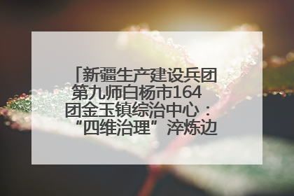 新疆生产建设兵团第九师白杨市164团金玉镇综治中心：“四维治理”淬炼边疆“枫桥样本”