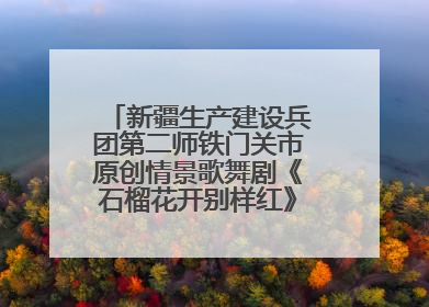 新疆生产建设兵团第二师铁门关市原创情景歌舞剧《石榴花开别样红》将来河北巡演