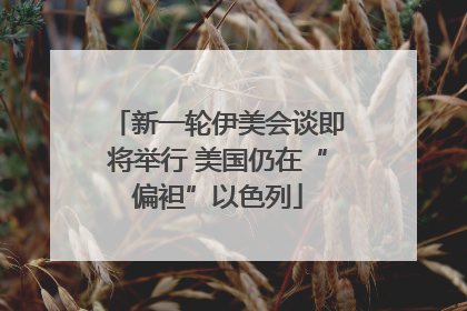 新一轮伊美会谈即将举行 美国仍在“偏袒”以色列