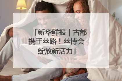 新华鲜报｜古都携手丝路！丝博会绽放新活力